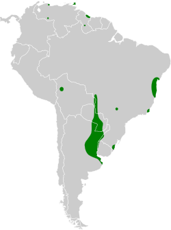 Distribución geográfica del doradito copetón.