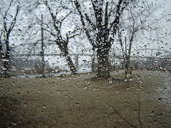 English: Rainy day in Henry, Illinois, USA Cat...