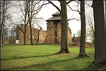 Ruine der Ronneburg