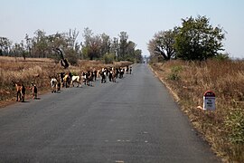 Route nationale 7 (Madagaskar)