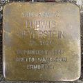 Stolperstein Göttingen Obere-Masch-Straße 10 Ludwig Meyerstein