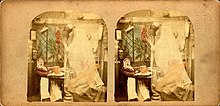 The Ghost in the Stereoscope The-Ghost-in-the-Stereoscope-Stereoview-Card.jpg