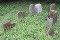 Ehemaliger Jüdischer Friedhof an der Weidegasse