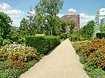 Rhododendrogarten im Wilhelmsburger Inselpark