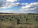 Die rekonstruierten Timber Circles von Woodhenge