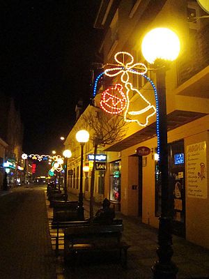 English: Christmas lights in Sanok