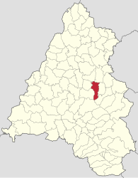 Location in Bihor County