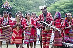 Miniatura per Lumad