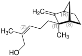 Strukturformel von (–)-β-Santalol