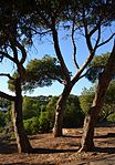 Reserva del Cap de la Nau (Xàbia)