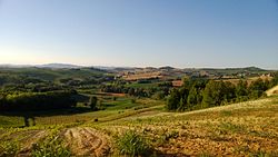 Skyline of Portacomaro