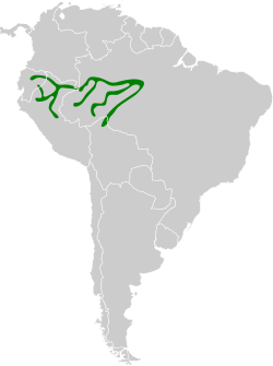 Distribución geográfica del curutié de Parker.