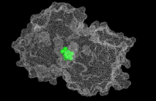 EPSP synthase.PNG