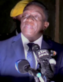  辛巴威 总统 埃默森·姆南加古瓦