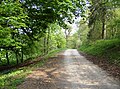 A footpath into Chedworth Woods