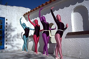 Four women wearing leotards and zentai suits.