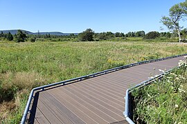 Freeland Boardwalk Trail