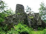 Hrad_Reichenštejn_(Rychleby),_zřícenina_a_archeologické_stopy_(Město_Javorník).JPG