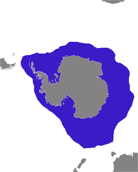 Distribución de Hydrurga leptonyx