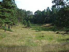 De plaats waar het fort Kärla Lihulinn gelegen heeft