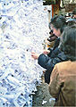 Choix d'omikuji au sanctuaire de Kasuga.