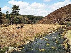 a shallow rocky channel with parched floodplain