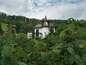 Image illustrative de l’article Monastère de Rudi