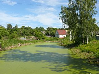 Заболоченная Малашка