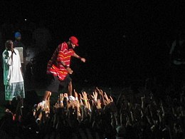 Method Man stage dive.jpg