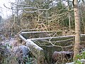 The pig pens within the old 'cottage'.