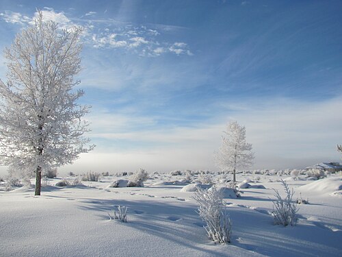 Morning Freezing Fog in Elko, Nevada, by Jrmichae