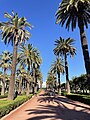 Parc de la Ligue arabe