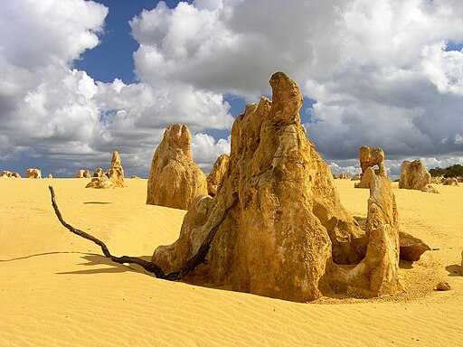 Pinnacles04