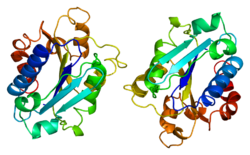 Протеин ITGAM PDB 1bho.png