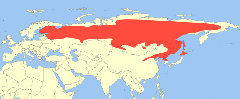 File:Pteromys volans range map.svg