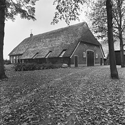 Farm in Westenesch