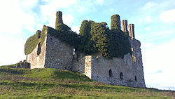 Ruins of Carbury Castle