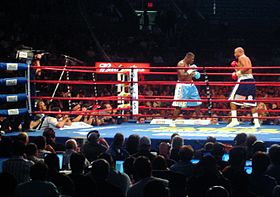 2007年10月、マディソン・スクエア・ガーデンで行われたサミュエル・ピーター（左）対ジャミール・マクライン戦の様子。左にShowtimeのカメラクルーおよび各社カメラマン、手前は報道関係者席。