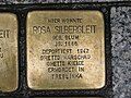 der Stolperstein für Rosa Silbergleit