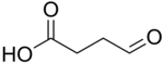 Image illustrative de l’article Semialdéhyde succinique