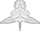Знак военного мастера США - парашютиста свободного падения.jpg