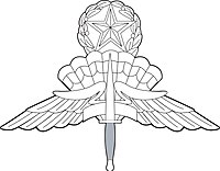 Знак военного мастера США - парашютиста свободного падения.jpg