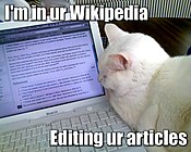 A lolcat image using the "Im in ur..." format, featuring a cat "editing" the dwarf planet article on Wikipedia