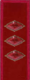 петлица 1924