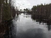 Поннока. Участок озеро Поннока — Боярское. Вид по течению.