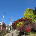 三峰神社秋 2