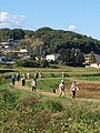 鳩山町