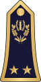 Général de brigade (Burkina Faso Ground Forces)[13]