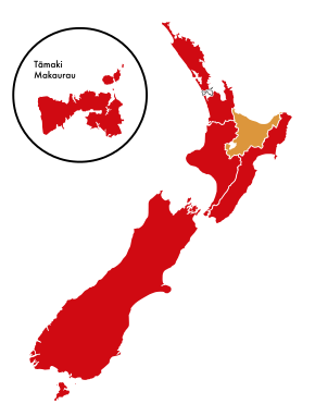Карта Новой Зеландии с разделениями для электоратов маори, отображаемая разными цветами для политических партий.