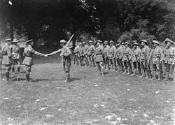 AWM E02909 Australian 10th Brigade 1918.jpg